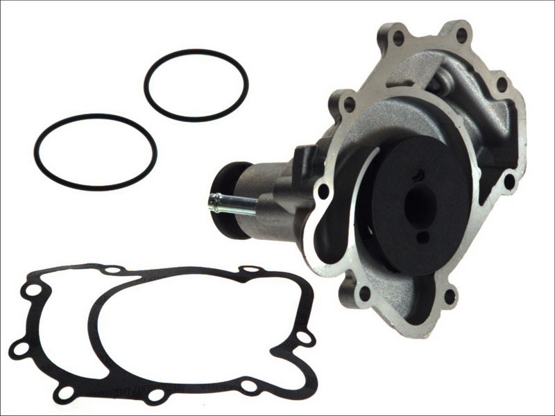 HEPU P169 Water Pump