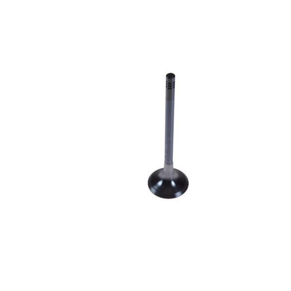 BLUE PRINT ADJ136111 Exhaust Valve