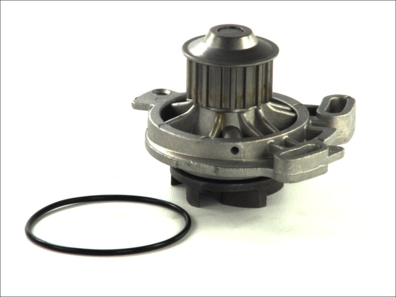 THERMOTEC D1W016TT Water Pump