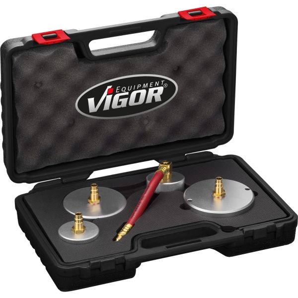 VIGOR V4381 Devices For Working Fluids And Fuels