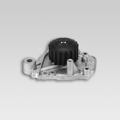HEPU P782 Water Pump