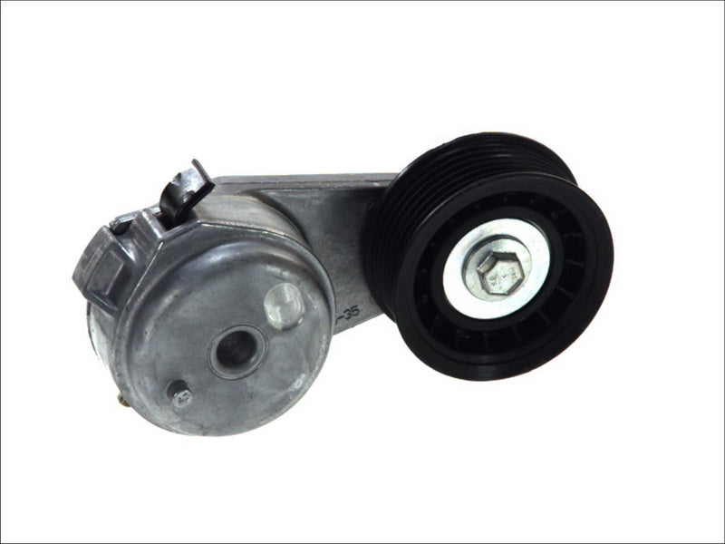 DAYCO DAYAPV2578 V-Ribbed Belt Tensioner Lever