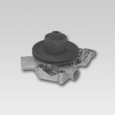 HEPU P825 Water Pump
