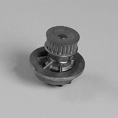 HEPU P794 Water Pump