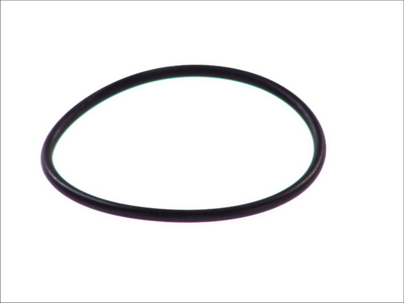 LEMA LE105200 Seal Ring