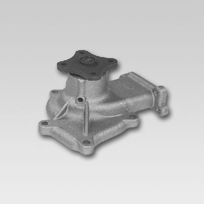 HEPU P746 Water Pump