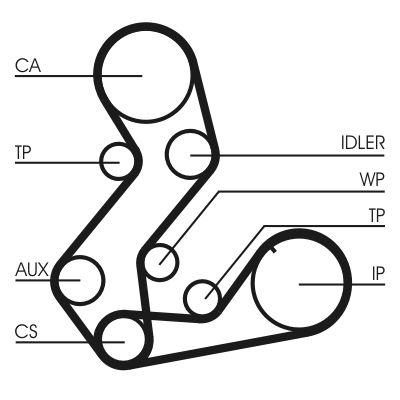 CONTITECH CT901WP1 Water Pump & Timing Belt Kit