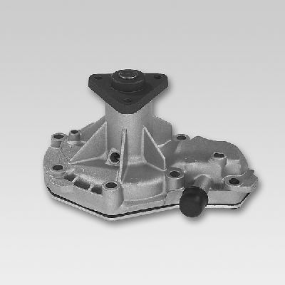 HEPU P933 Water Pump