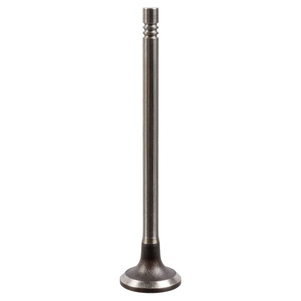 FEBI FE175555 Intake Valve