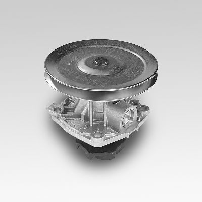 HEPU P126 Water Pump