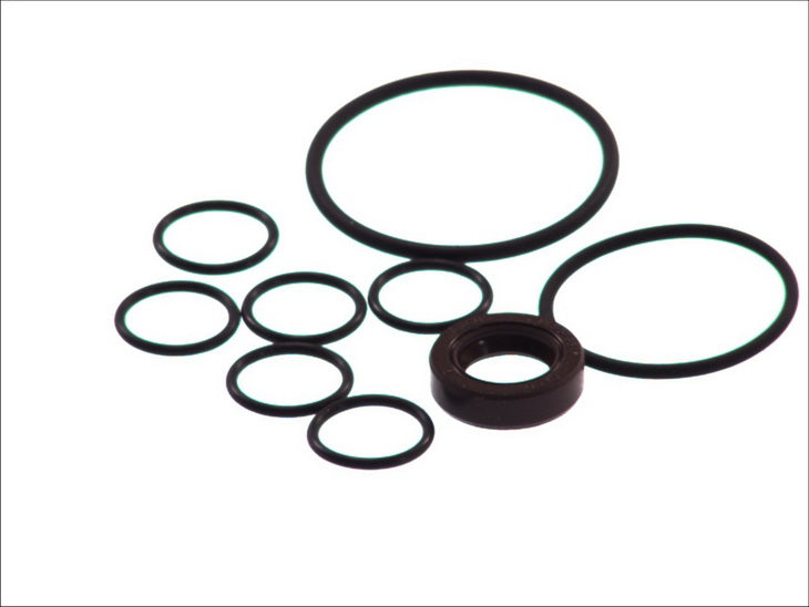 CORTECO CO15599796 Steering Gear Gasket Set