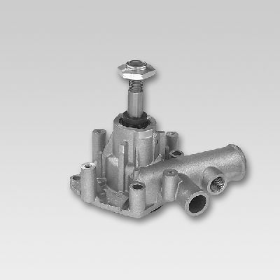 HEPU P1085 Water Pump