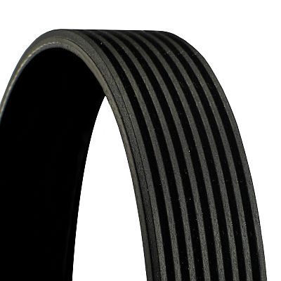 CONTITECH 8PK2250 V-Ribbed Belt