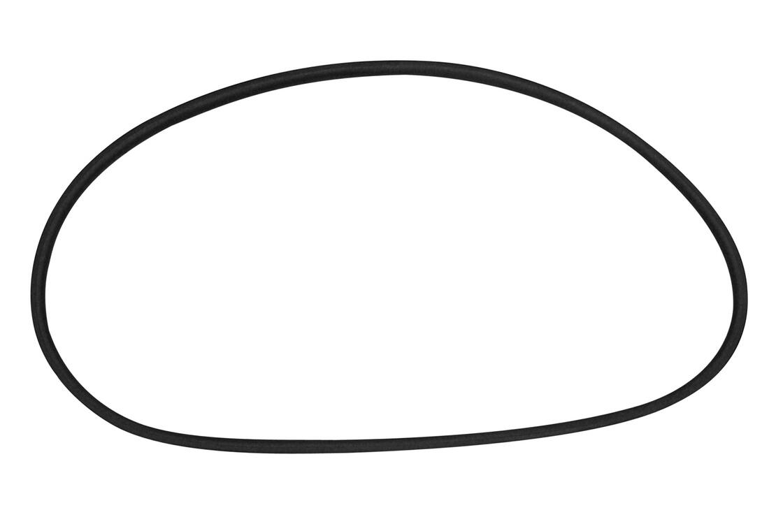 VAICO V100888 Seal, Rear Window | ML Performance Car Parts