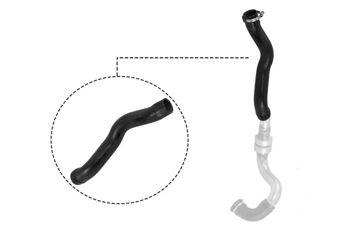 VAICO V210025 Charge Air Hose | ML Performance Car Parts