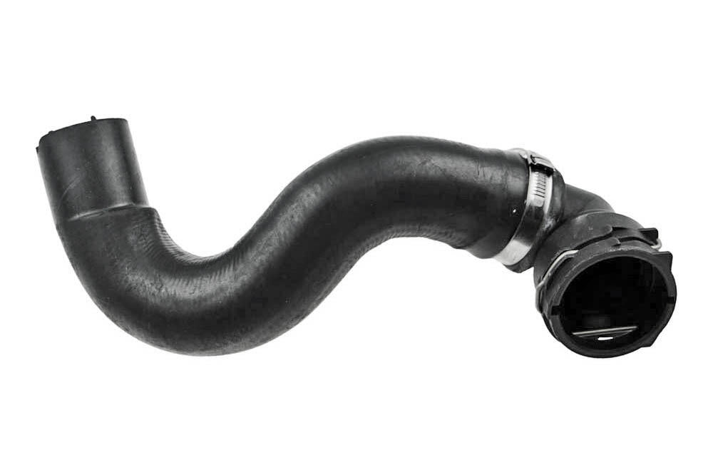 VAICO V241168 Radiator Hose | ML Performance Car Parts