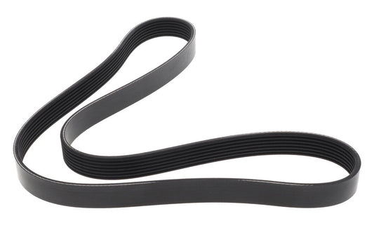 VAICO V241209 V-Ribbed Belt | ML Performance Car Parts