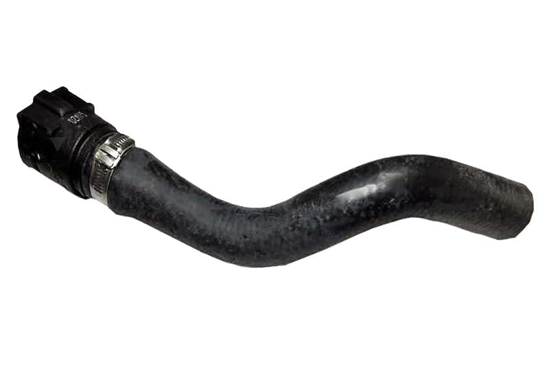 VAICO V241278 Radiator Hose | ML Performance Car Parts