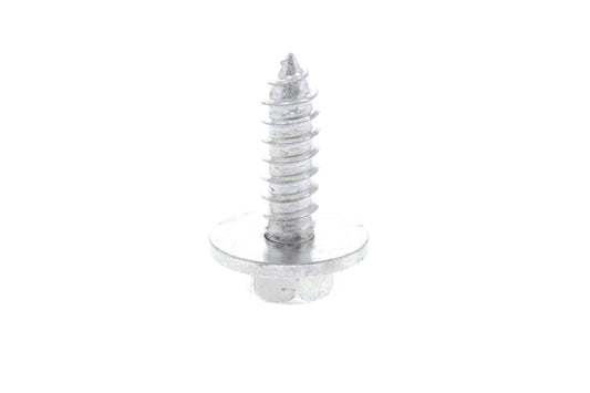 VAICO V400870 Screw | ML Performance Car Parts