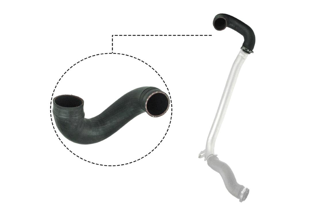 VAICO V401512 Charge Air Hose | ML Performance Car Parts