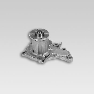 HEPU P725 Water Pump