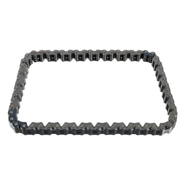 FEBI BILSTEIN FE100074 Timing Chain