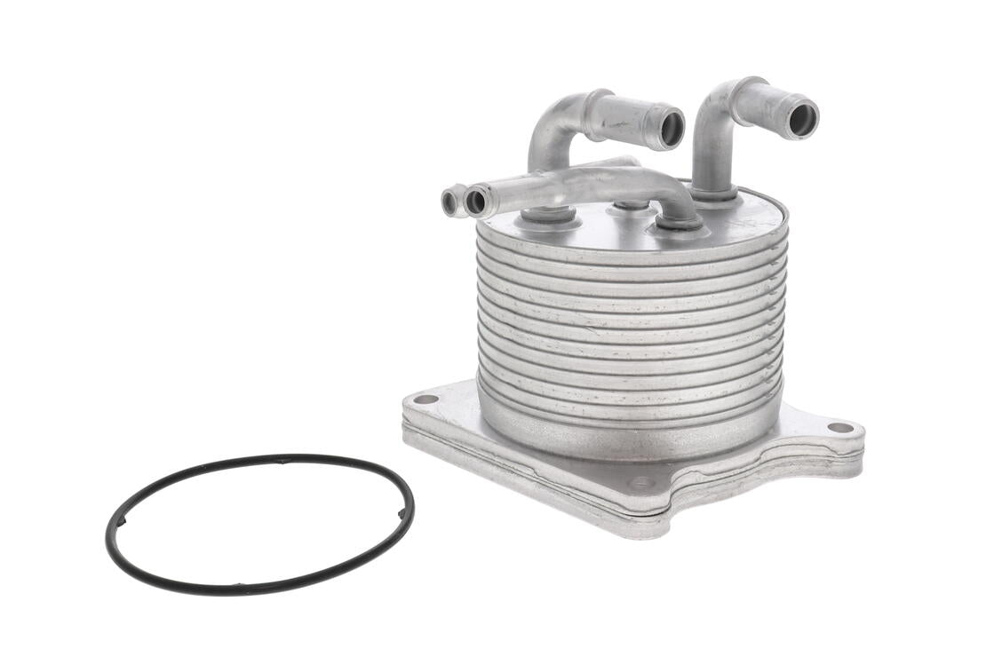 VEMO V33-60-0012 Oil Cooler, Automatic Transmission | ML Performance Car Parts