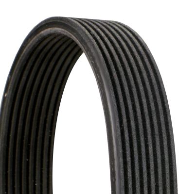 CONTITECH 8DPK1827 V-Ribbed Belt