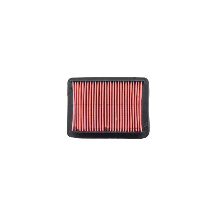 Vicma Air Filter