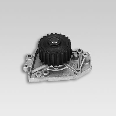 HEPU P784 Water Pump