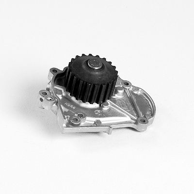 HEPU P7824 Water Pump