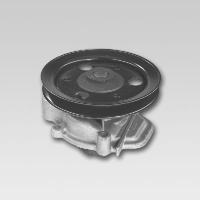 HEPU P7801 Water Pump