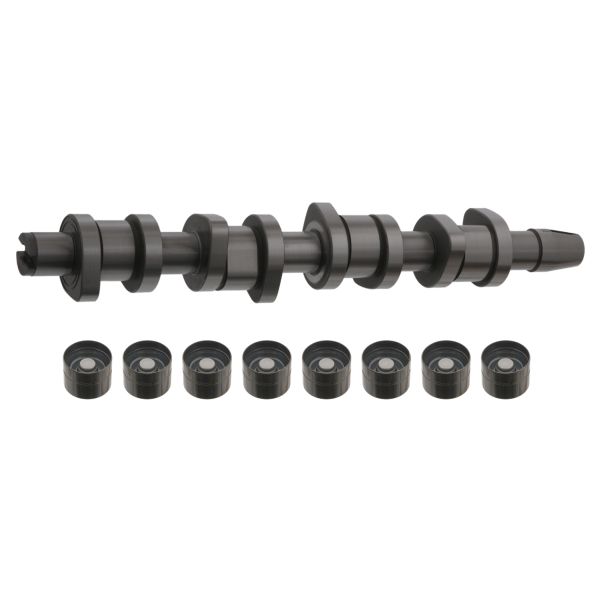 FEBI BILSTEIN FE33195 Camshaft Kit