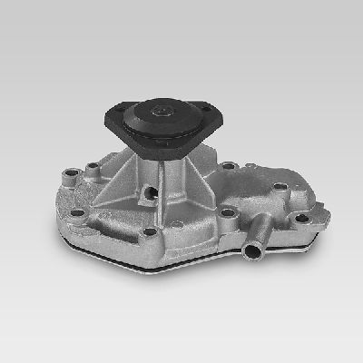 HEPU P824 Water Pump