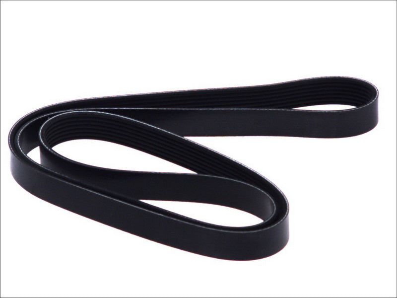 DAYCO DAY7PK1666 V-Ribbed Belt
