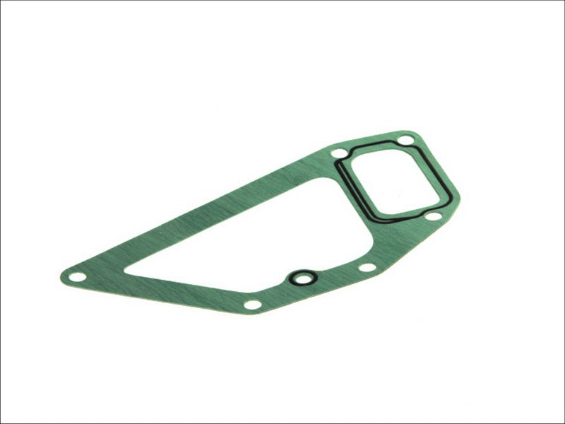DT A/C 5.41048 Water Pump Gasket