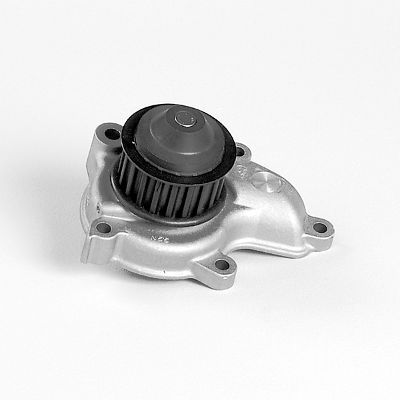 HEPU P7384 Water Pump