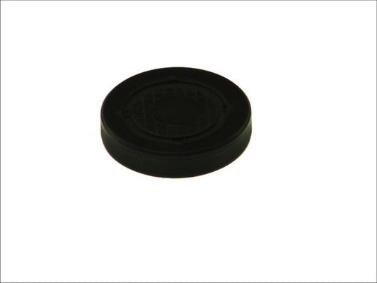 CORTECO CO21653091 Rocker Arm Shaft Mounting Bore Plug