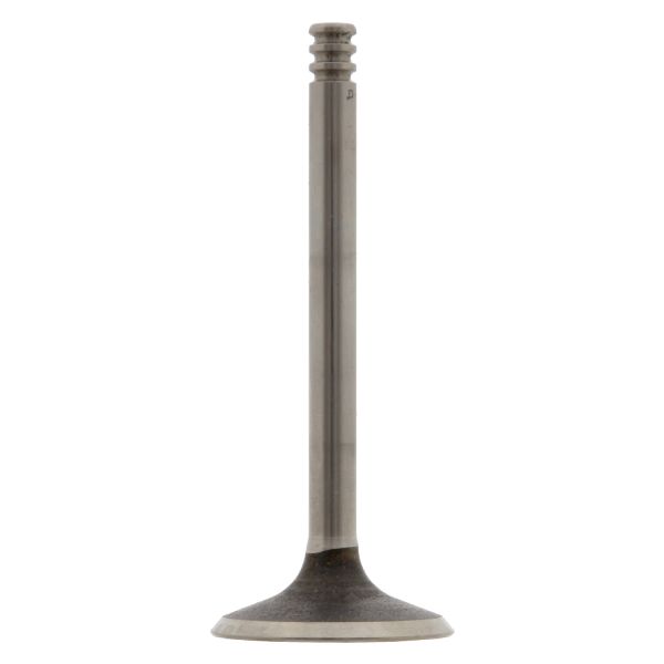 FEBI BILSTEIN FE28546 Intake Valve