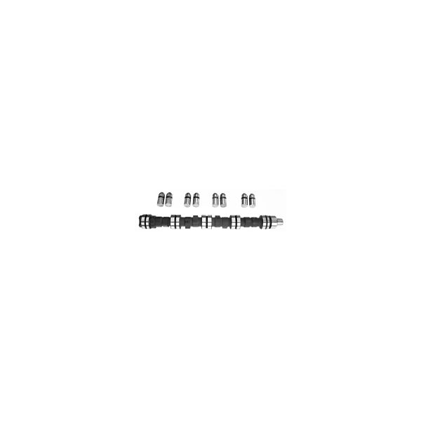 FEBI BILSTEIN FE03016 Camshaft Kit