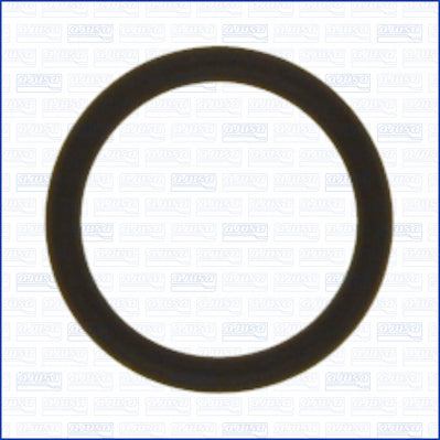 AJUSA AJU16090600 Crankcase Ventilation Gasket