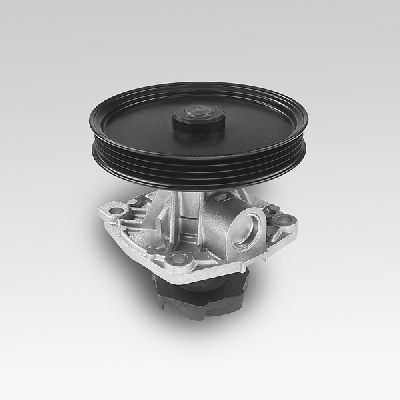 HEPU P125 Water Pump