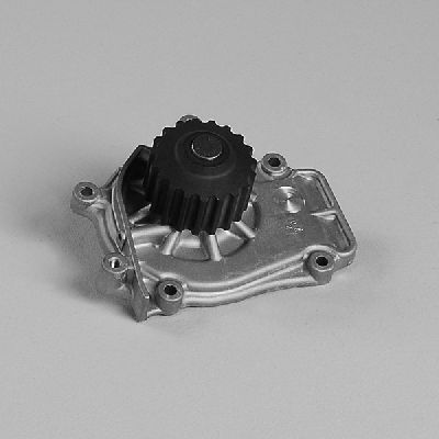 HEPU P786 Water Pump