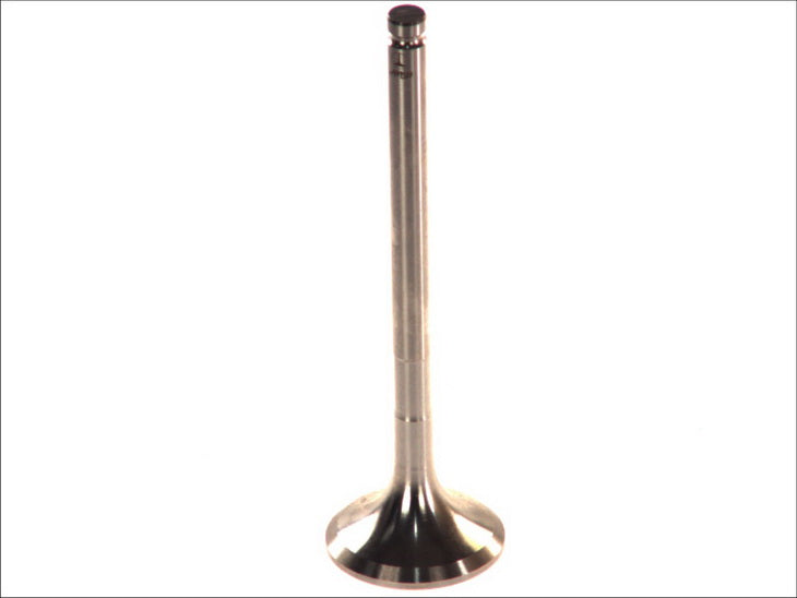 PARADOWSCY PFIA050 Exhaust Valve
