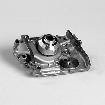 HEPU P1725 Water Pump