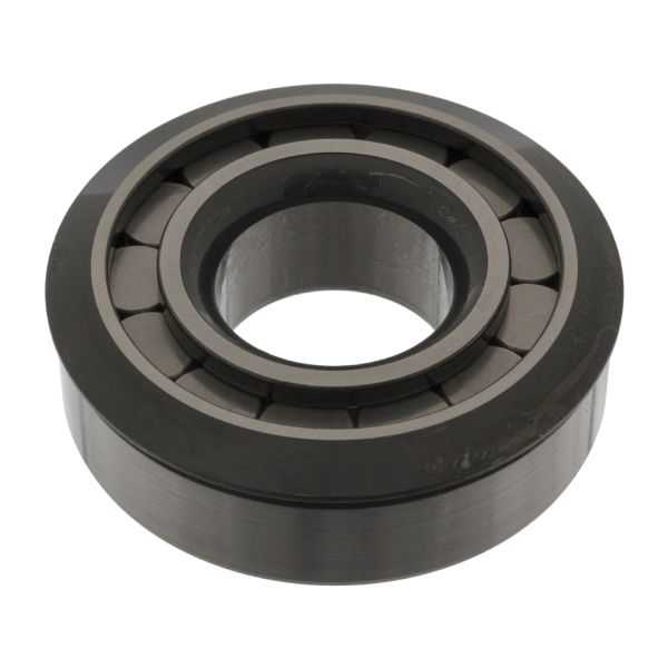 FEBI FE49748 Bearing