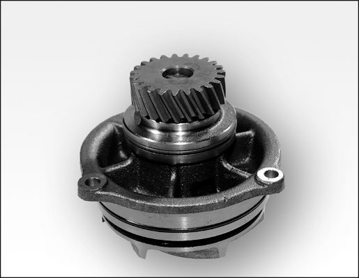 HEPU P1176 Water Pump