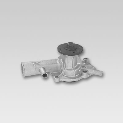 HEPU P773 Water Pump