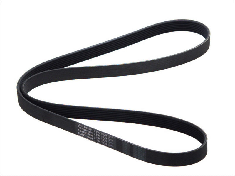 CONTITECH 7PK1629 V-Ribbed Belt