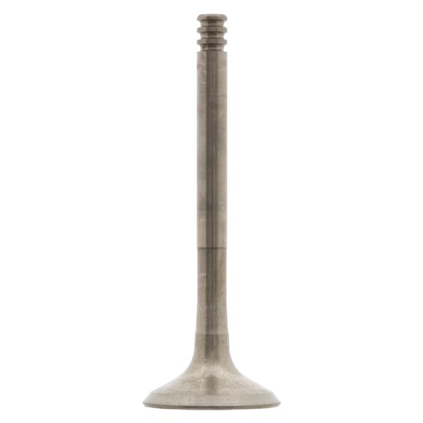 FEBI FE28547 Exhaust Valve